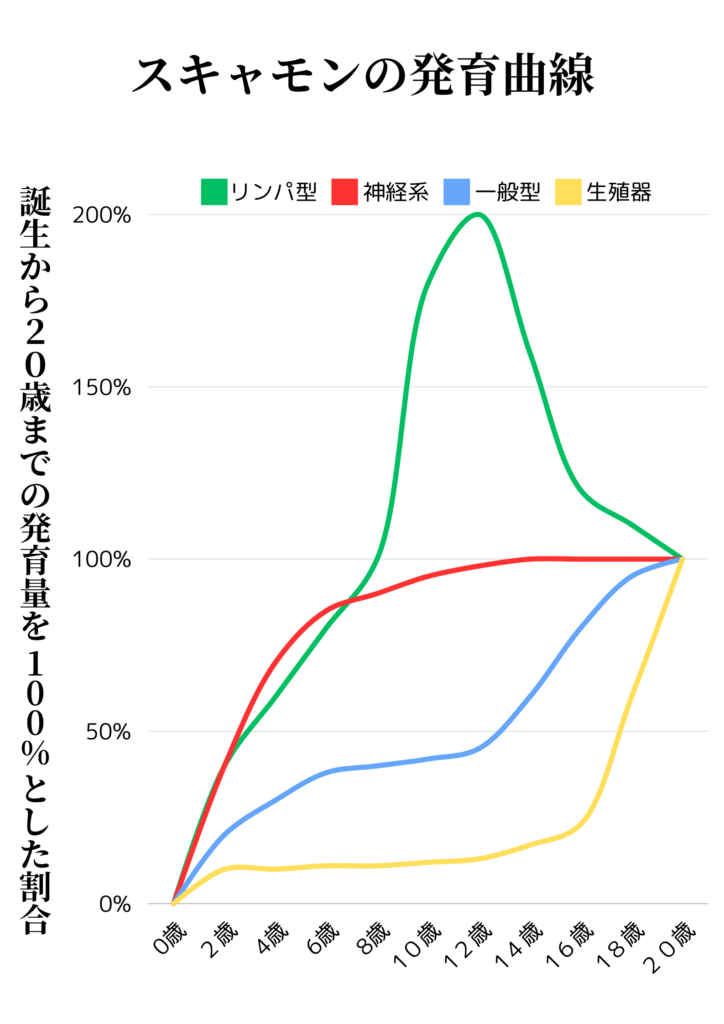 スキャモンの成長曲線は、子供の成長パターンを理解するための重要なグラフです。このグラフは、身体のさまざまな部分がどのように成長するかを示しています。以下の4つの主要な成長パターンを示しています：リンパ型（緑色の線）：リンパ組織の成長を示し、幼少期に急速に増加し、思春期にピークを迎え、その後成人期に向けて減少します。
神経系（赤色の線）：脳や神経系の成長を示し、出生から幼少期にかけて急速に発達し、6歳までに成人の90%に達します。
一般型（青色の線）：身長や体重など、全体的な身体の成長を示し、思春期に急激な成長スパートが見られます。
生殖器（黄色の線）：思春期に急激に成長する生殖器官の発達を示し、思春期まで比較的遅いペースで進みます。
このグラフは、子供の成長を総合的に理解し、適切な時期に適切なサポートを提供するための重要なツールです。成長の各段階における特徴を把握することで、教育や健康管理に役立てることができます。